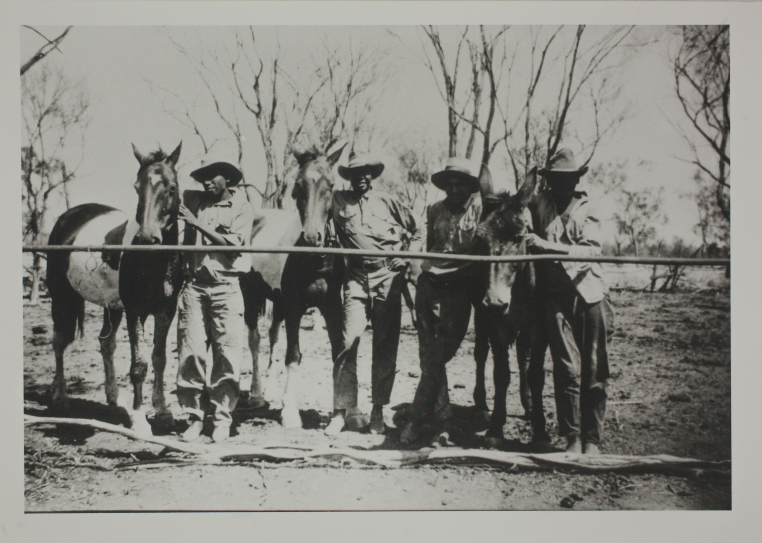 Territory Stories - Aboriginal stockmen