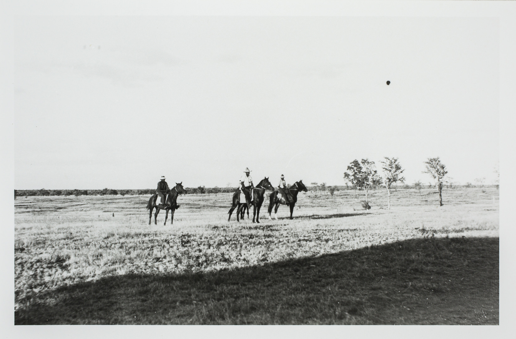 Territory Stories - Aboriginal Stockmen