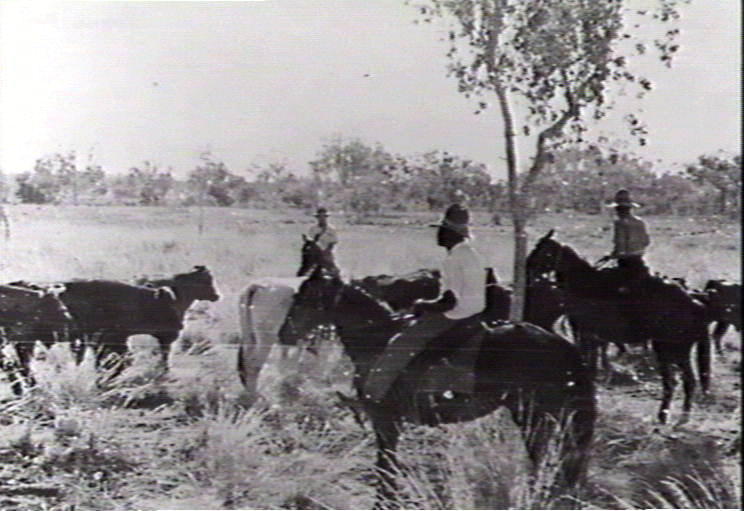 Territory Stories - On the cattle drive