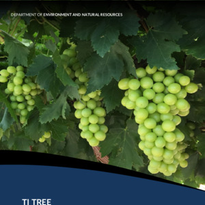 Territory Stories - Ti Tree Water Allocation Plan 2020 - 2030