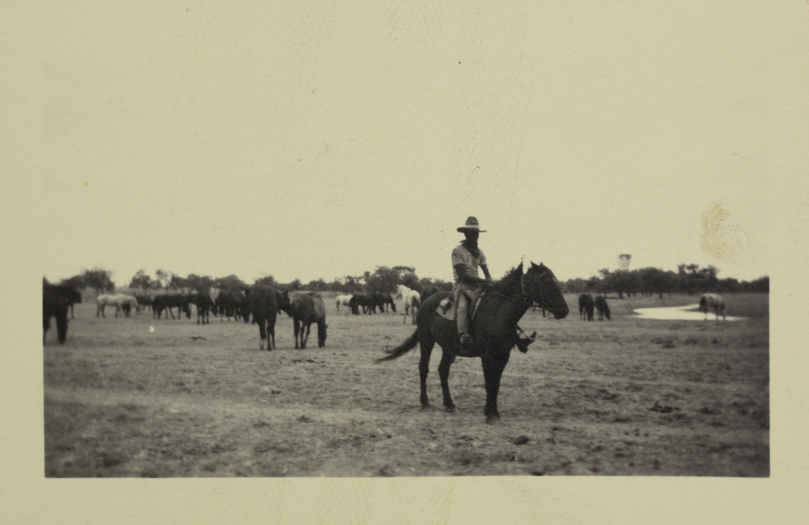 Territory Stories - Stockman