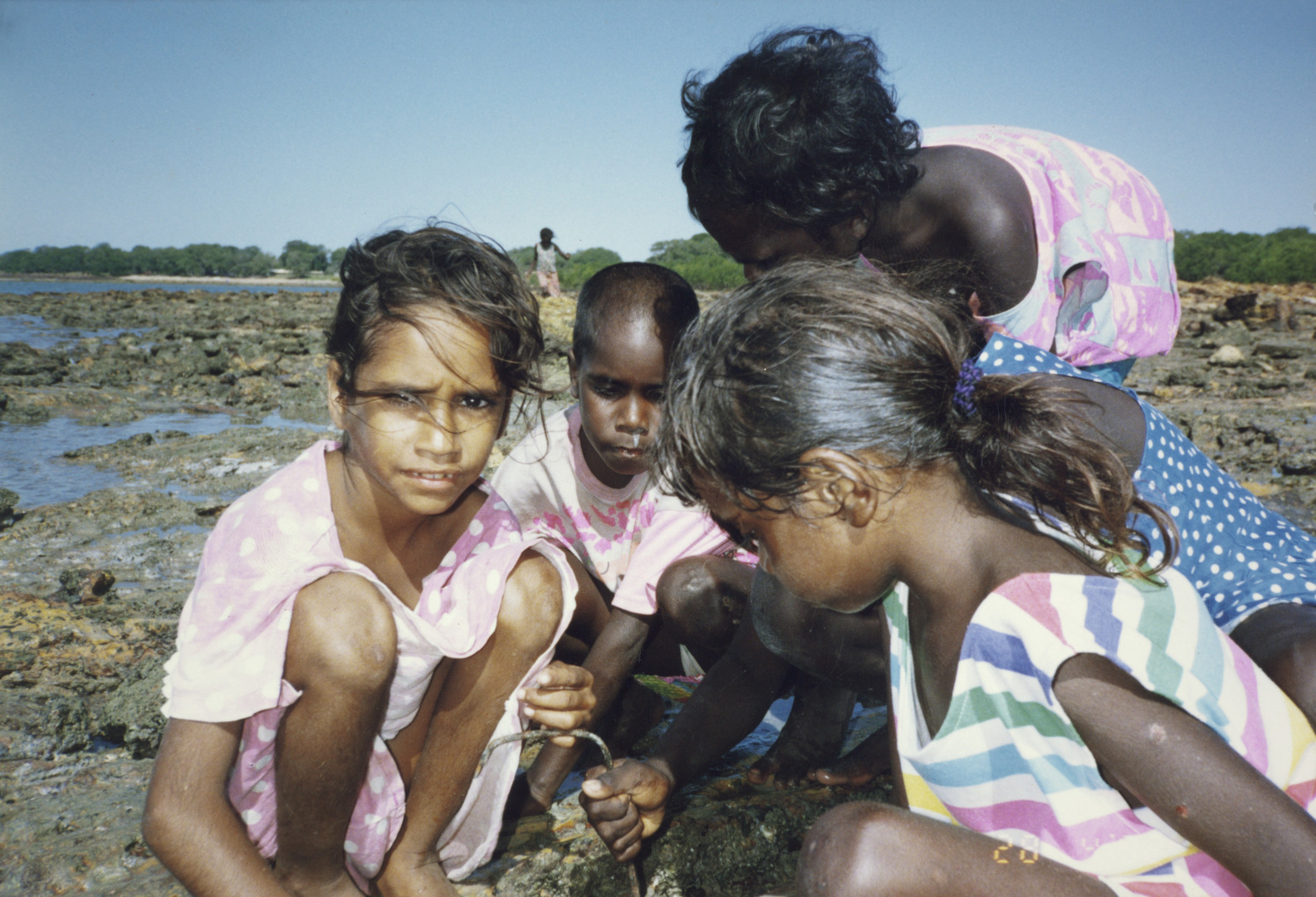 Territory Stories - Bush tucker