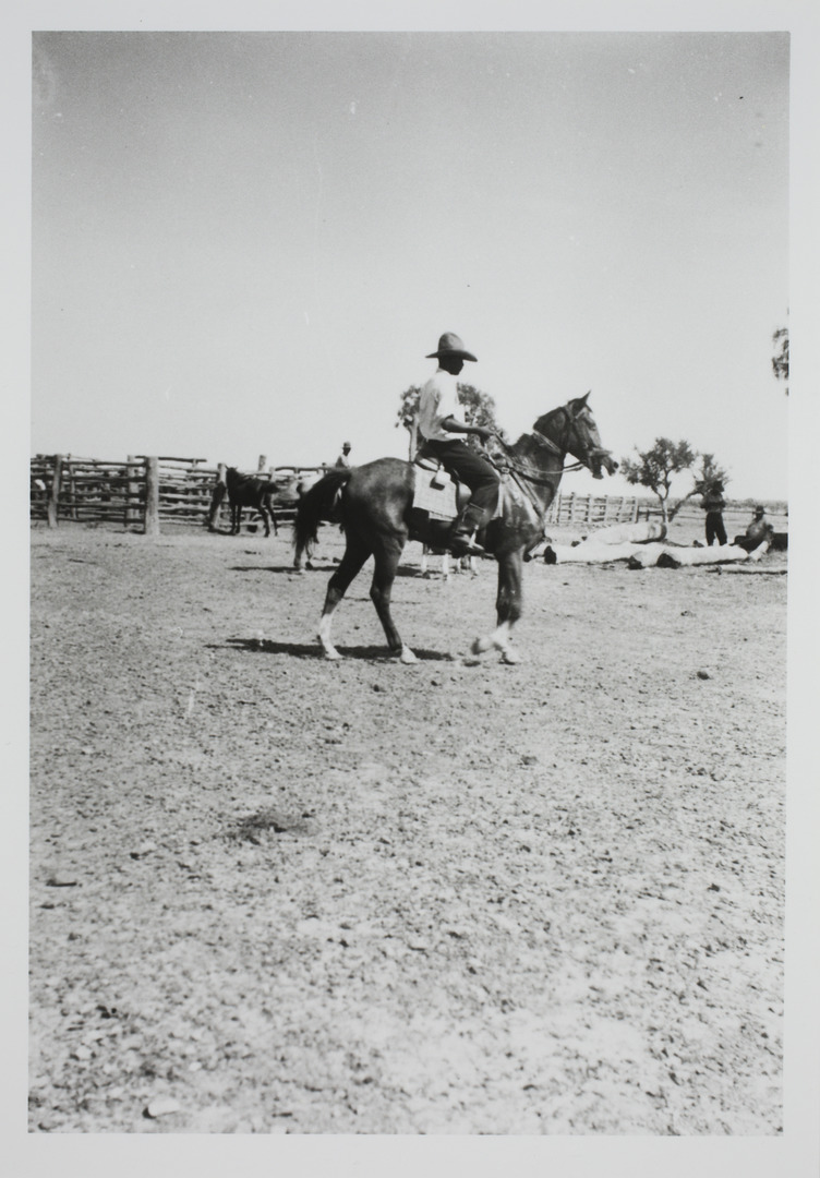 Territory Stories - Stockmen